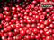 Сырье. Замороженные ягоды