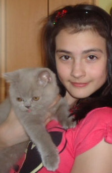 Замечательные Британские котята