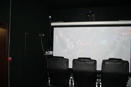 Атракцион 5D "восьмёрочка" 2