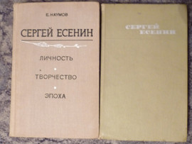 Русская классическая литература