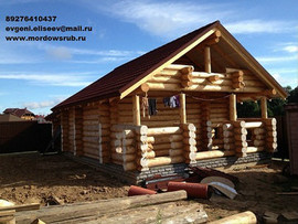 Срубы из зимнего леса на заказ из Мордовии