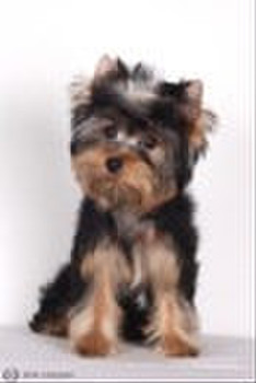 Очаровательный малыш ждет заботливых родителей