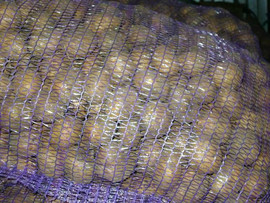 Картофель оптом! 2