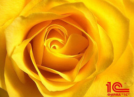 Программирование и настройка программы 1С Предприятие.