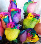 9 радужных роз, разноцветные розы