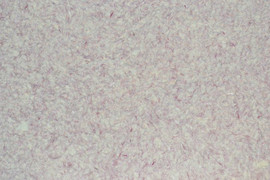 Шелковая декоративная штукатурка Silk Plaster серии Оптима 4