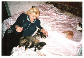 Предлогаю роскошных котят