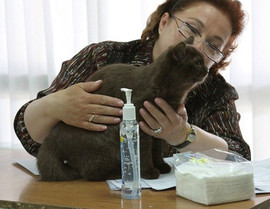 Шикарная шоколадная девочка!