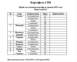 Отличный картофель оптом от производителя!