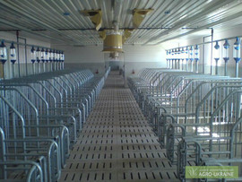 Монтаж оборудования для свинокомплексов и птичнико 3