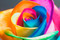 Радужные, разноцветные розы
