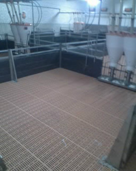 Монтаж оборудования для свинокомплексов и птичнико 2