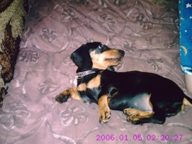 Продам срочно