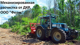 Мульчирование и расчистка от ДКР. Валка деревьев и кустарника.