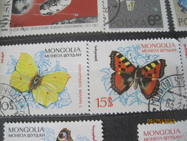Бабочки Монголия Семь гашеных марок в отличном состоянии