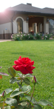 Ландшафтный дизайн от идеи до воплощения!