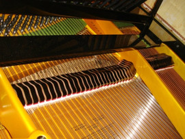 Продам Рояль Bechstein (Бехштейн) реставрация2011г.