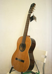 Настоящая испанская гитара Alhambra 1с