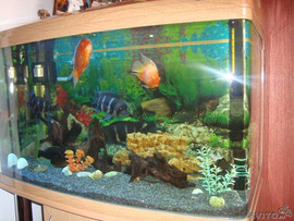 Продаю аквариум