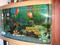 Продаю аквариум