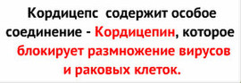 Повысь свой иммунитет! Лучшие инновационные продукты!