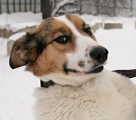 Кокетливая Ктити с удовольствием украсит вашу жизнь