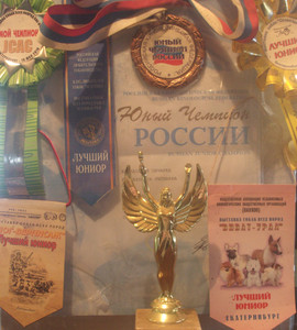 : Кавказская овчарка, юный чемпион россии 2