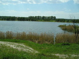 ИЖС. Недорого продам. Земельный участок 15 соток. М.О, Ногинский 8