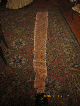 Кожа питона.