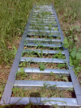 Настил между грядок из оцинкованной стали