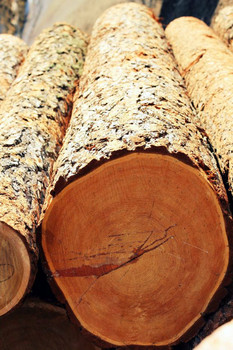 Продажа круглого леса и гонта из кедра и лиственницы 2