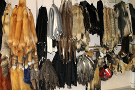 Шкуры выделанные - Меха