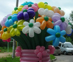 *Цветы и композиции из воздушных шаров - Тверь*