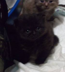 привет,а вот и я 6