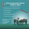 Взыскание долгов. Розыск (должников) имущества. Арбитраж.