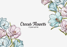 Студия цветов CROCUS FLOWERS