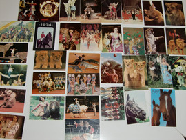 Коллекция календариков Советский цирк