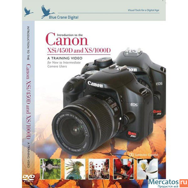 Canon Rebel Xs Utility