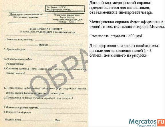 Как выглядит справка 079 у