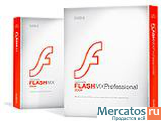 Macromedia flash 80 download full version