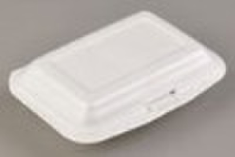 disposable lunch box