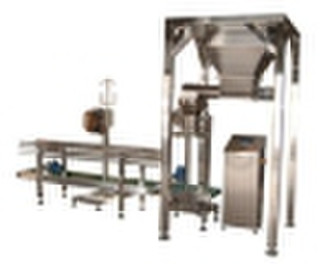 large bag filling & packaging machine