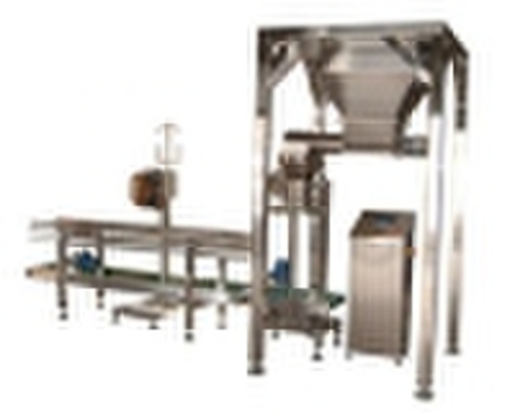 large bag filling & packaging machine