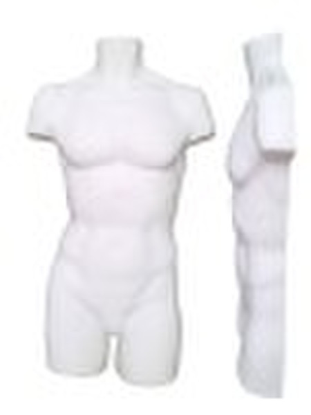 Männlich Plastic Body Form / Mannequin (938)