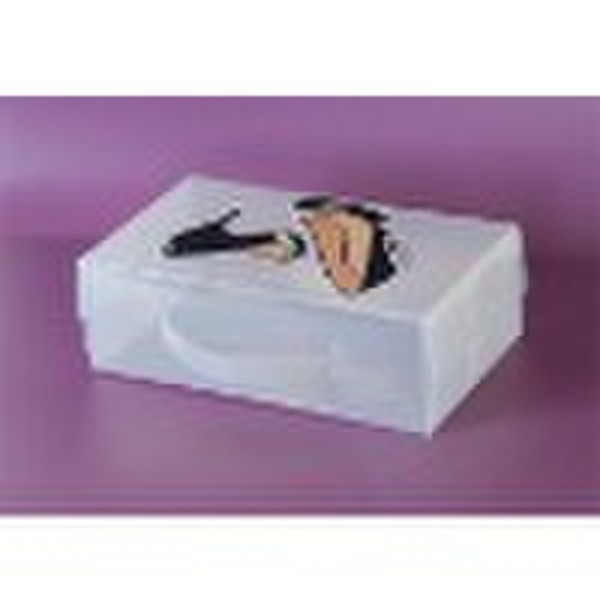 packaging  shoe box