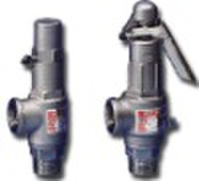 SAFETY RELIEF VALVE