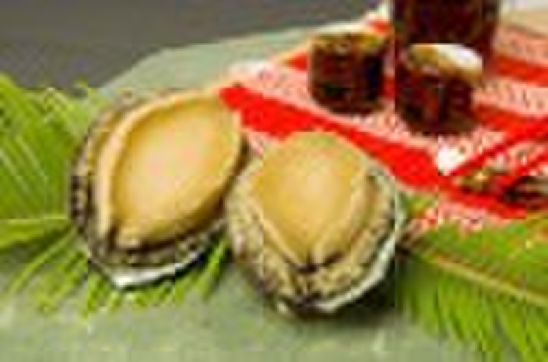 Abalone mit Shell