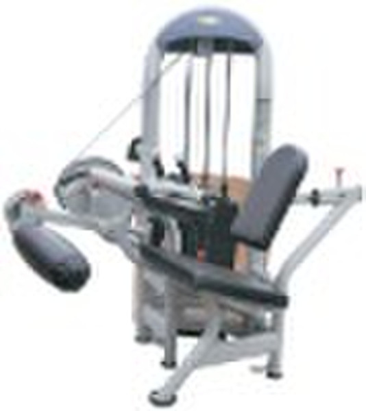 Seated Leg Curl