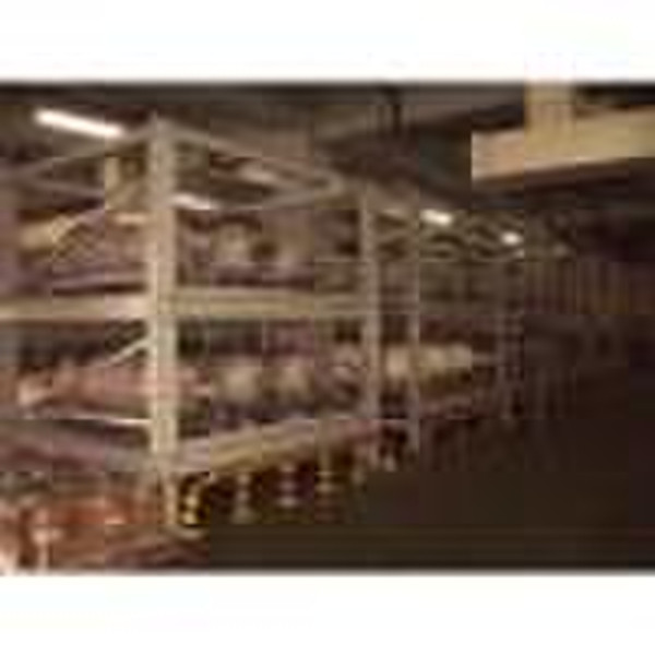 *Steel Structure Rack