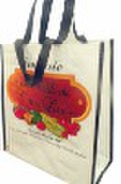 pp woven shopping bag